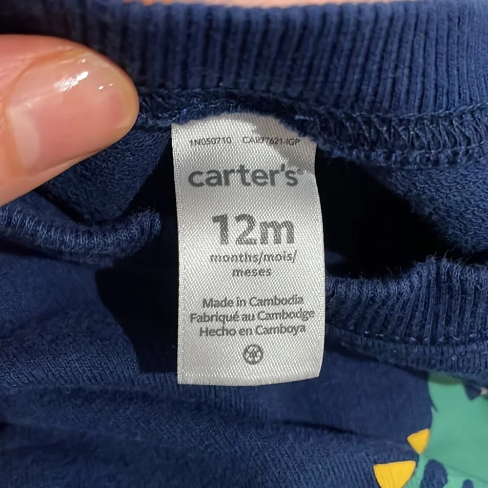 Carters blue dinosaur